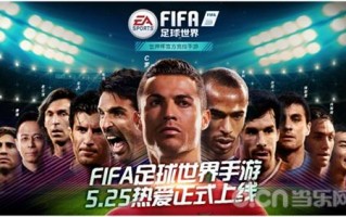 fifa足球世界世界杯选哪队6，fifa足球世界国际服
